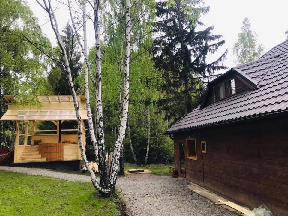 Cabana Din Padurea Belis Si Casuta Din Copac Cluj-Napoca Exterior foto