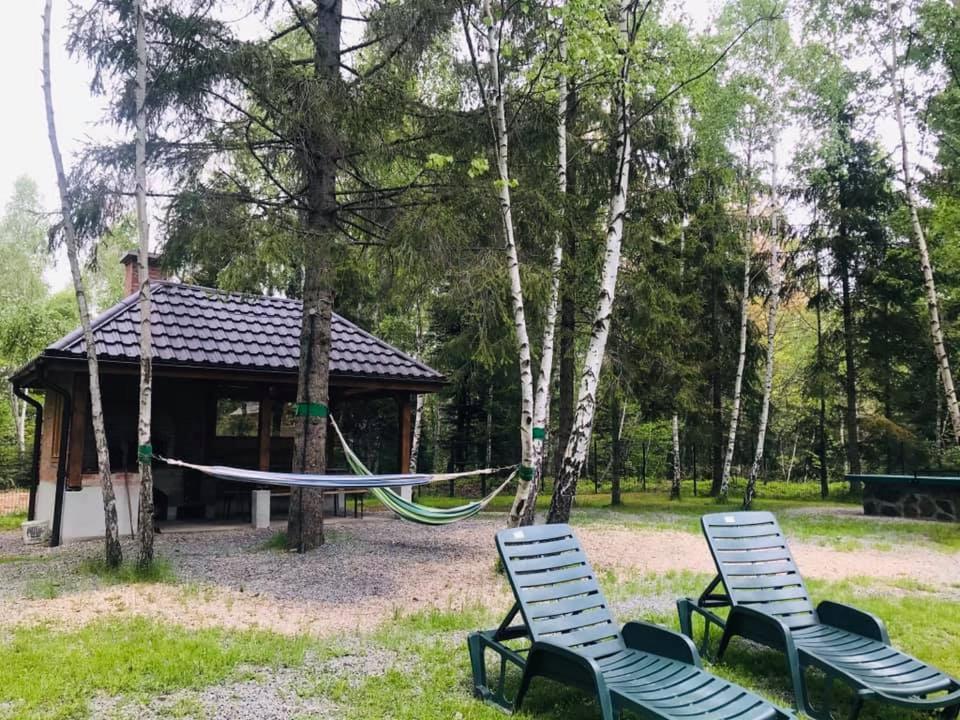 Cabana Din Padurea Belis Si Casuta Din Copac Cluj-Napoca Exterior foto