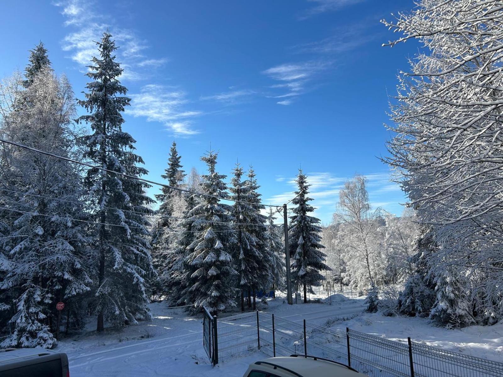 Cabana Din Padurea Belis Si Casuta Din Copac Cluj-Napoca Exterior foto